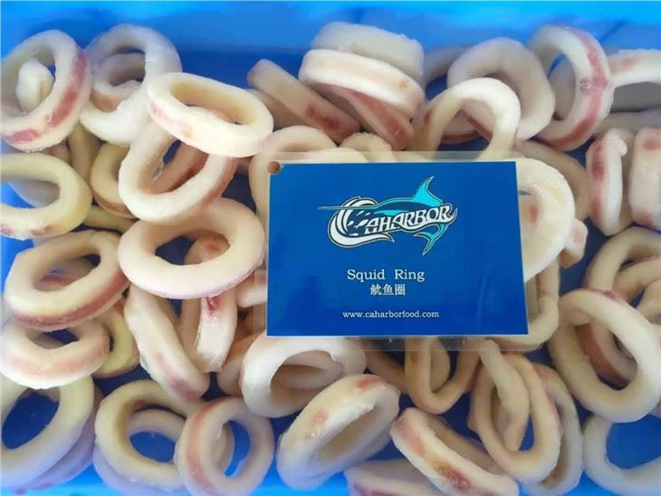 Ring squid