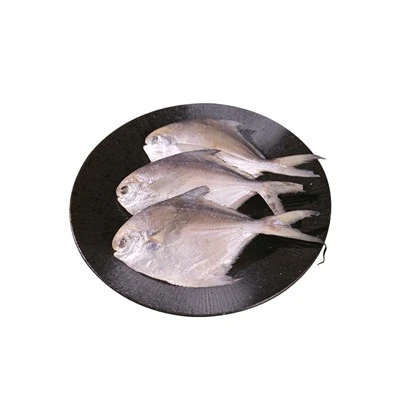 Kina Sølv Pompano