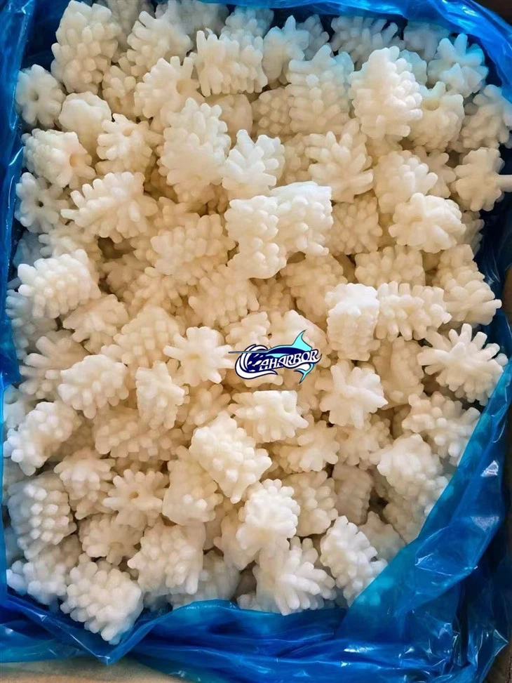 Frozen Squid Bloom