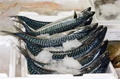 Makrelpriserne ramte et nyt højdepunkt